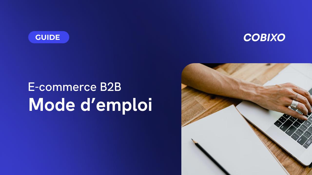 e-commerce-b2b-mode-emploi