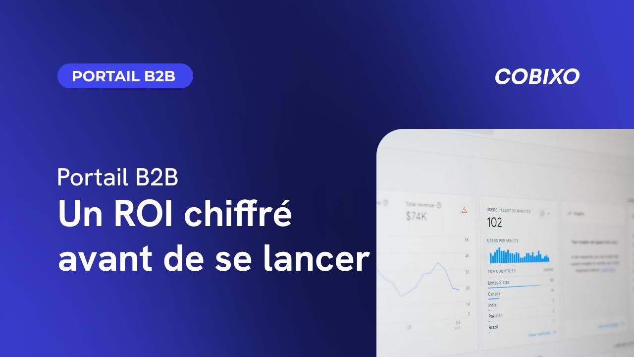portail-b2b-roi-chiffre