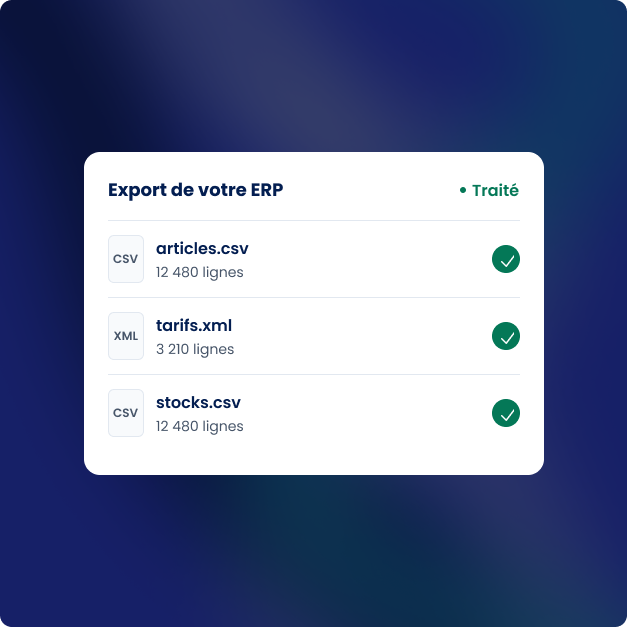 erp-supportes
